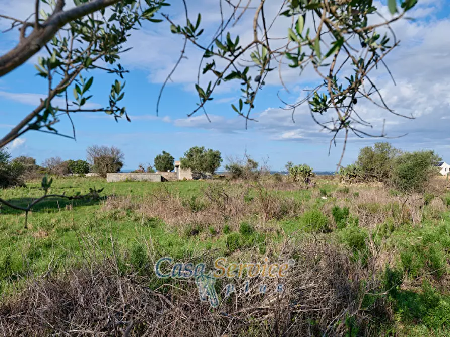 Immagine 10 di Terreno in vendita  in Contrada Stallone a Matino