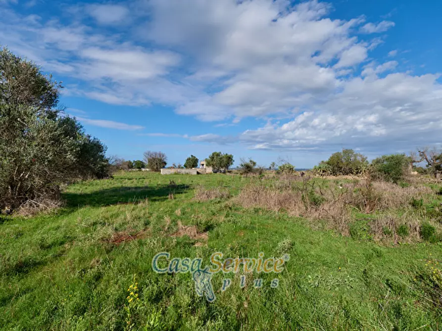 Immagine 11 di Terreno in vendita  in Contrada Stallone a Matino