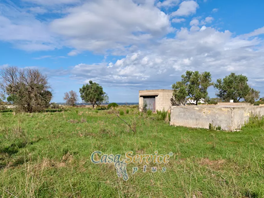 Immagine 12 di Terreno in vendita  in Contrada Stallone a Matino