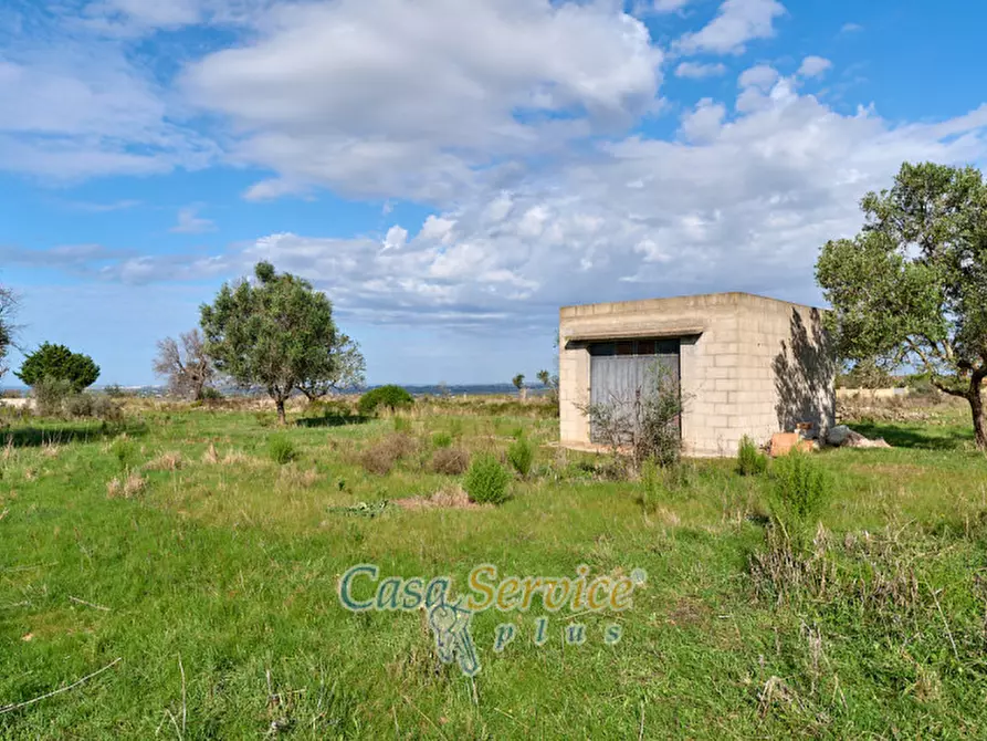 Immagine 13 di Terreno in vendita  in Contrada Stallone a Matino