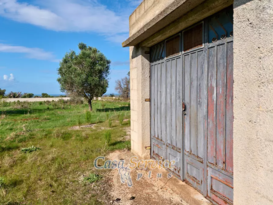 Immagine 14 di Terreno in vendita  in Contrada Stallone a Matino
