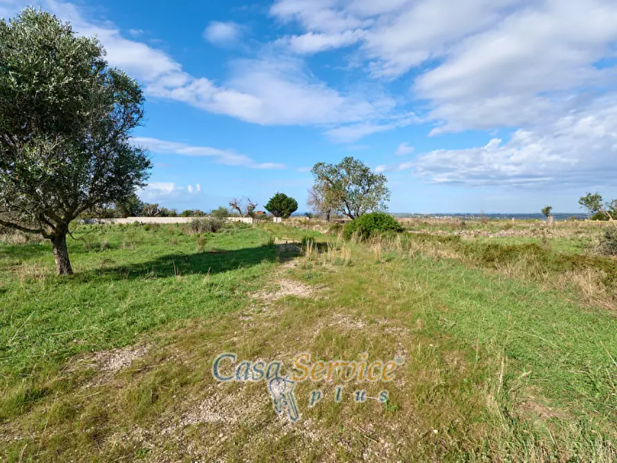 Immagine 15 di Terreno in vendita  in Contrada Stallone a Matino