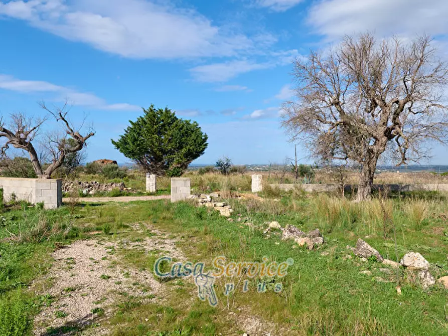 Immagine 16 di Terreno in vendita  in Contrada Stallone a Matino