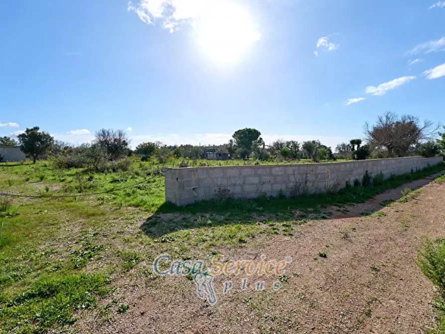 Immagine 17 di Terreno in vendita  in Contrada Stallone a Matino