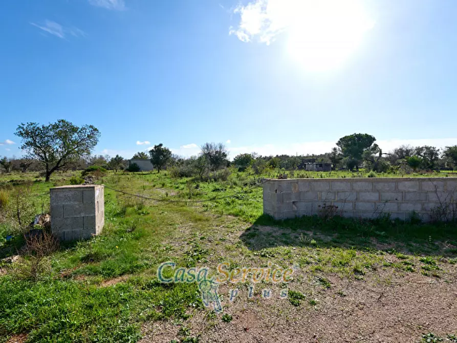 Immagine 18 di Terreno in vendita  in Contrada Stallone a Matino