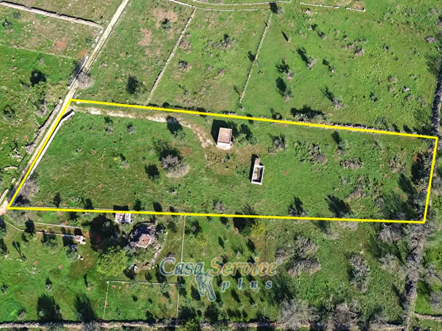 Immagine 19 di Terreno in vendita  in Contrada Stallone a Matino