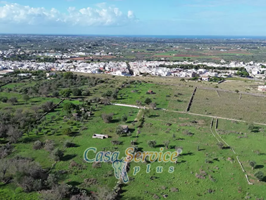 Immagine 20 di Terreno in vendita  in Contrada Stallone a Matino