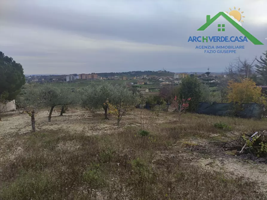 Immagine 3 di Terreno in vendita  in via dell'Agricoltura a Canicattì