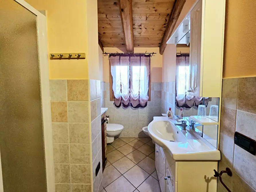 Immagine 26 di Casa indipendente in vendita  in VIA DEI COLLI a Vo