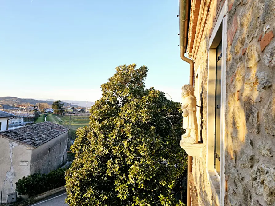 Immagine 29 di Casa indipendente in vendita  in VIA DEI COLLI a Vo
