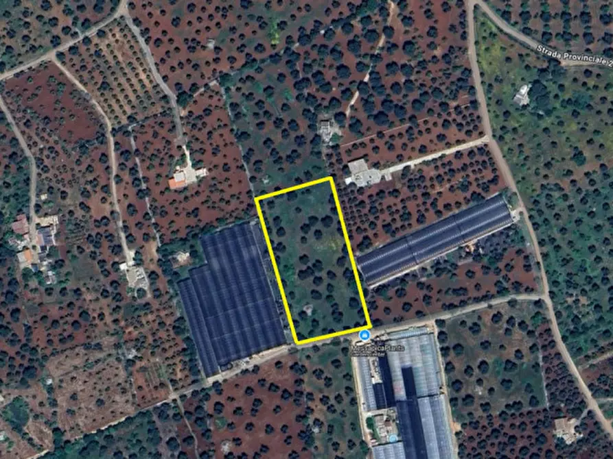 Immagine 7 di Rustico / casale in vendita  in C.da Difesola a Ceglie Messapico