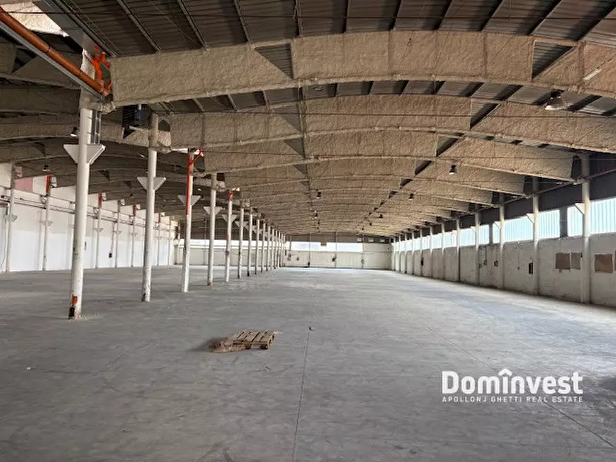 Immagine 4 di Capannone industriale in affitto  in Via Monte D'Oro a Pomezia