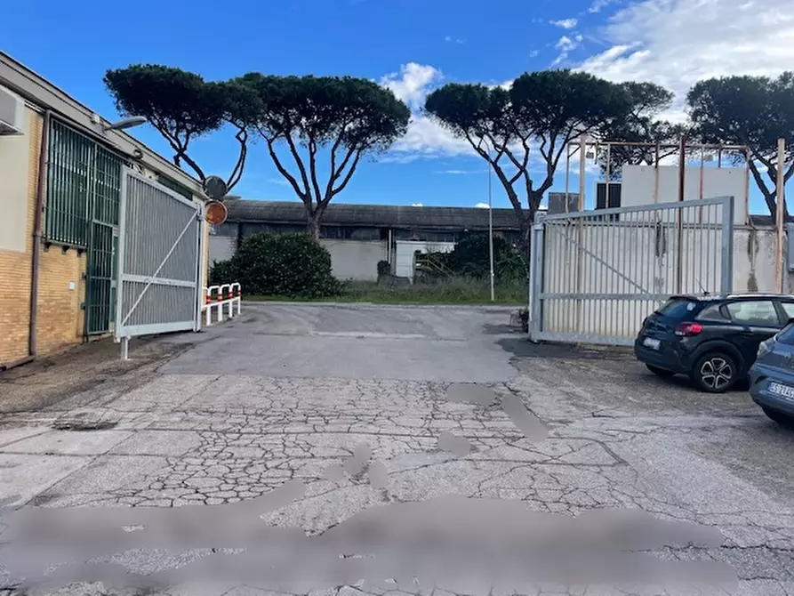Immagine 5 di Capannone industriale in affitto  in Via Monte D'Oro a Pomezia