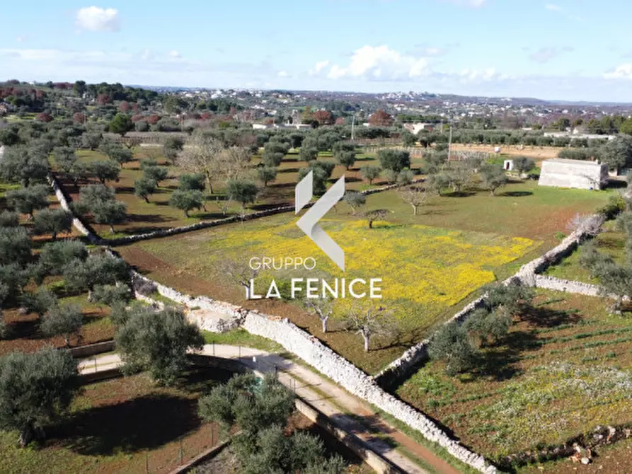 Immagine 15 di Rustico / casale in vendita  in Contrada Uacella a Locorotondo