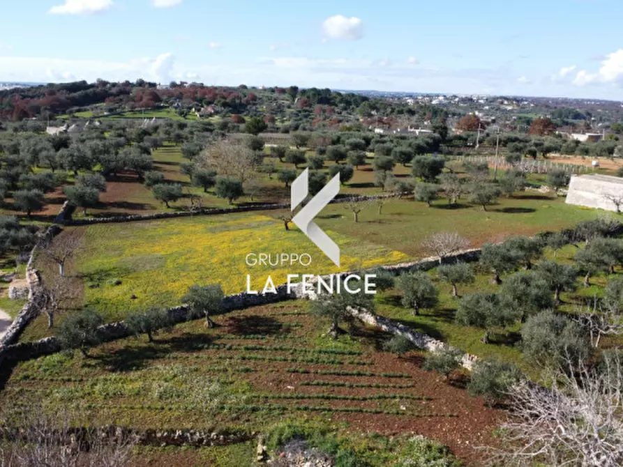 Immagine 16 di Rustico / casale in vendita  in Contrada Uacella a Locorotondo