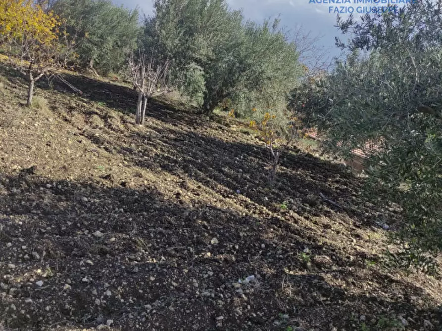 Immagine 3 di Rustico / casale in vendita  in contrata grottarossa a Canicattì