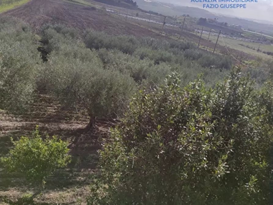 Immagine 4 di Rustico / casale in vendita  in contrata grottarossa a Canicattì