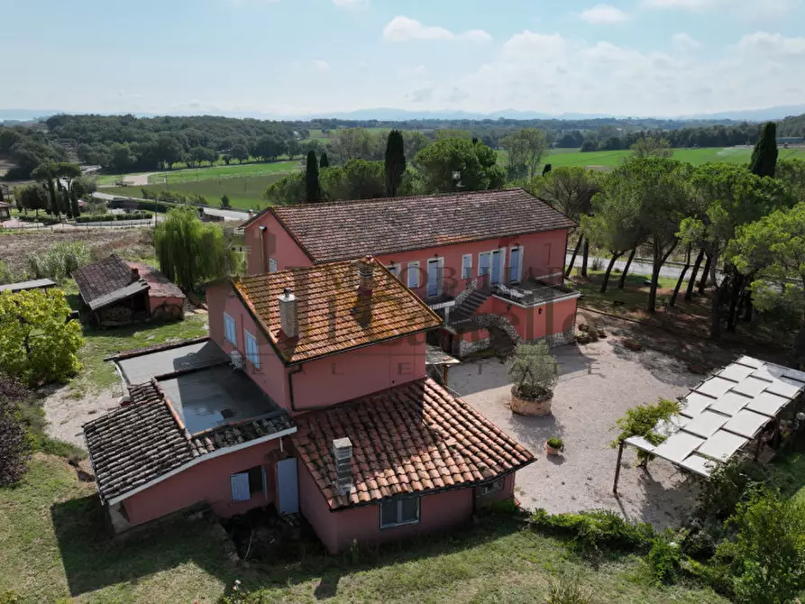 Immagine 32 di Agriturismo in vendita  in Via Nazionale a Castiglione Del Lago