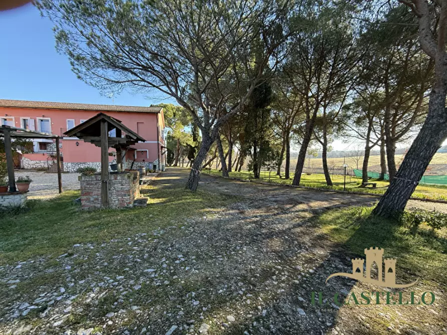 Immagine 48 di Agriturismo in vendita  in Via Nazionale a Castiglione Del Lago