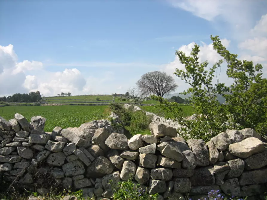 Immagine 9 di Terreno in vendita  a Modica