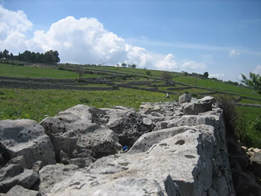 Immagine 10 di Terreno in vendita  a Modica