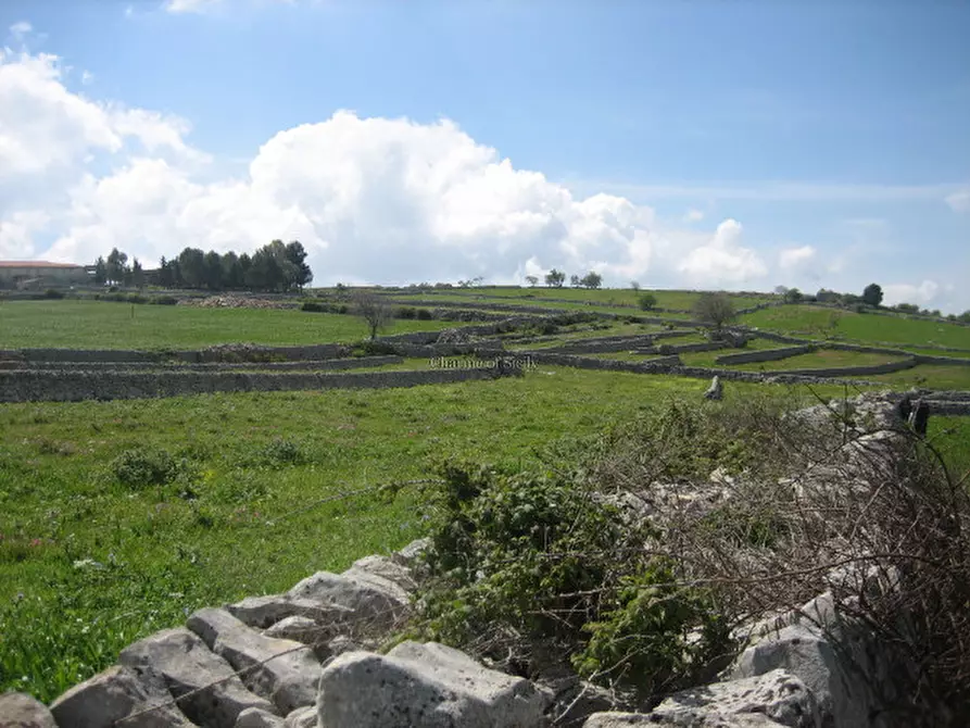 Immagine 11 di Terreno in vendita  a Modica