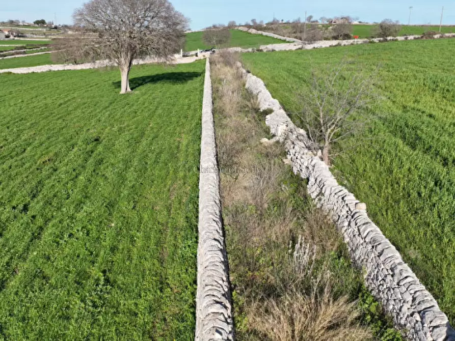 Immagine 22 di Terreno in vendita  a Modica