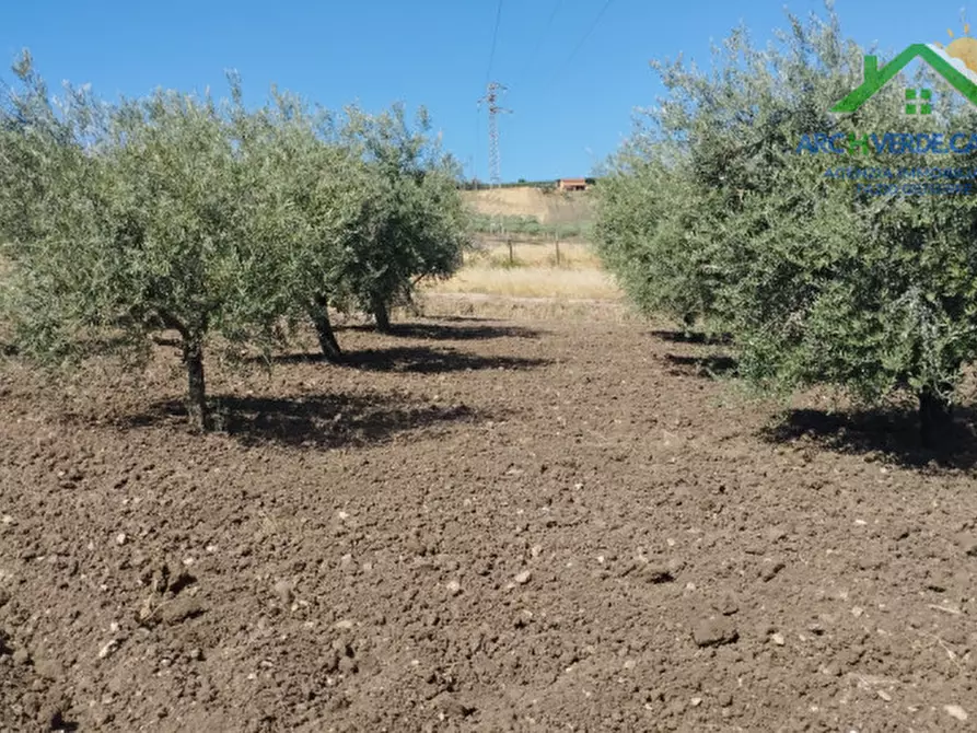 Immagine 4 di Villa in vendita  in grotta rossa a Canicattì