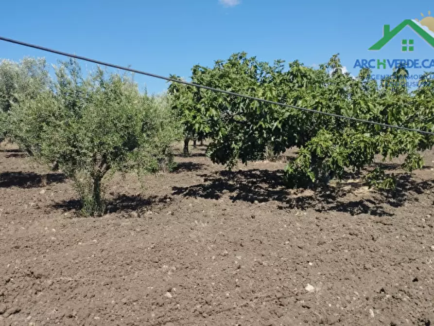 Immagine 5 di Villa in vendita  in grotta rossa a Canicattì