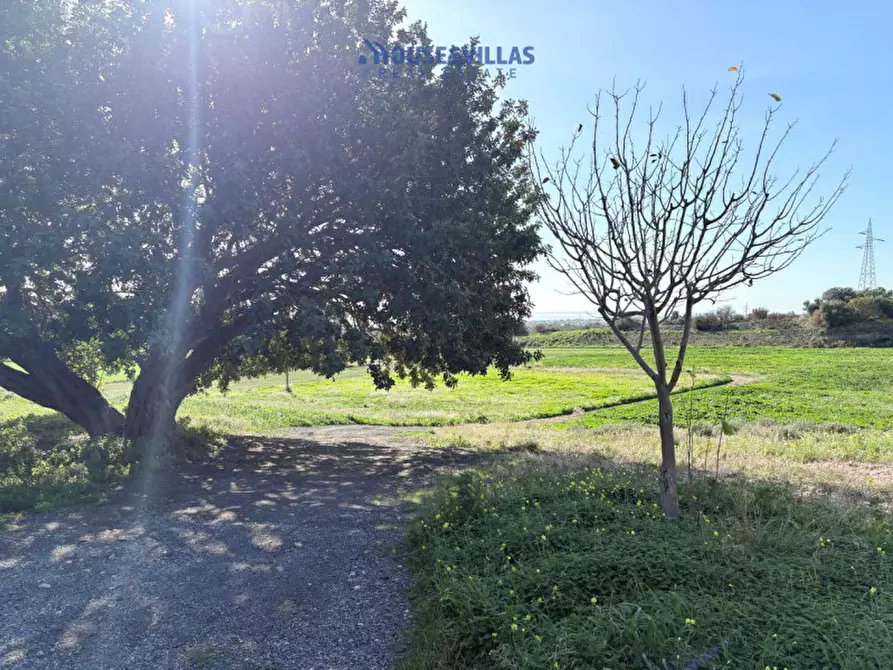 Immagine 10 di Villa in vendita  in contrada petrara a Avola