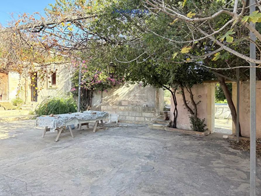 Immagine 17 di Villa in vendita  in contrada petrara a Avola