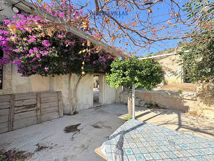 Immagine 20 di Villa in vendita  in contrada petrara a Avola