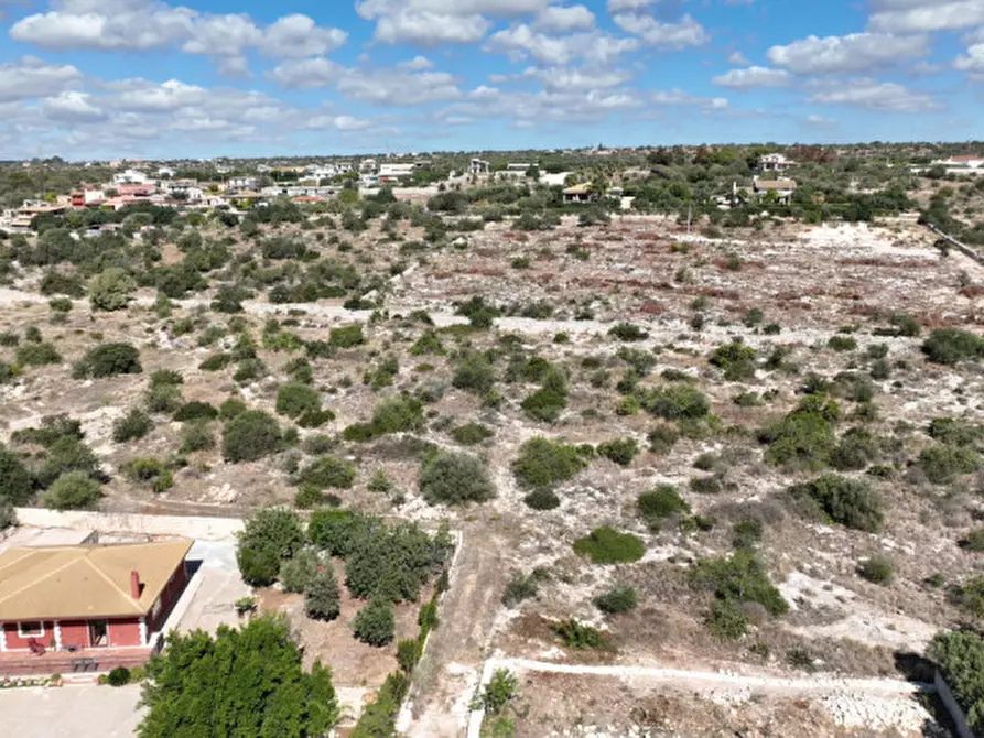 Immagine 5 di Terreno in vendita  in C.da Boschi Pisani a Pozzallo