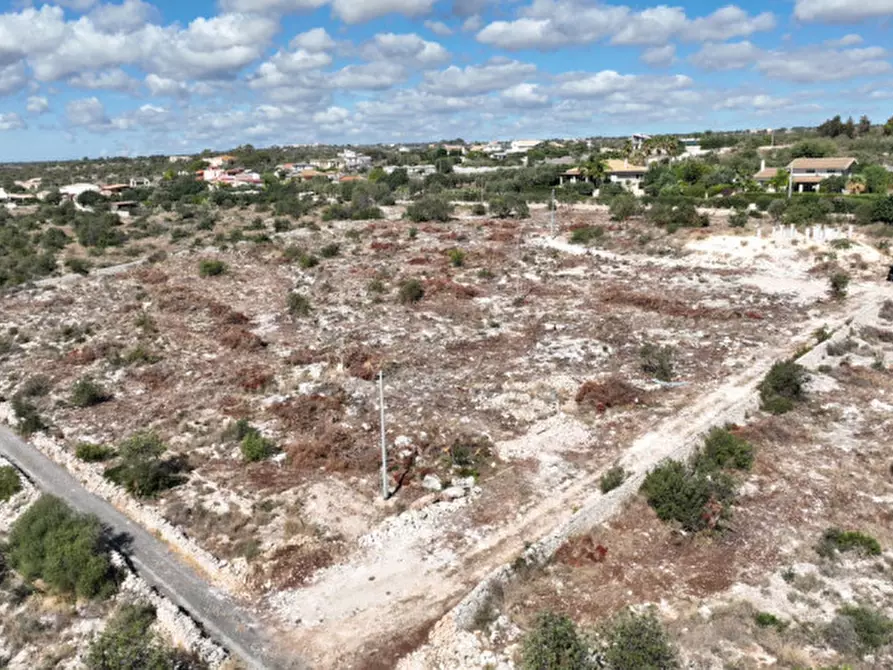 Immagine 6 di Terreno in vendita  in C.da Boschi Pisani a Pozzallo