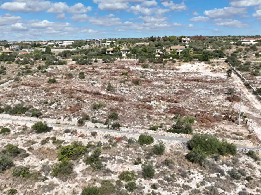 Immagine 7 di Terreno in vendita  in C.da Boschi Pisani a Pozzallo