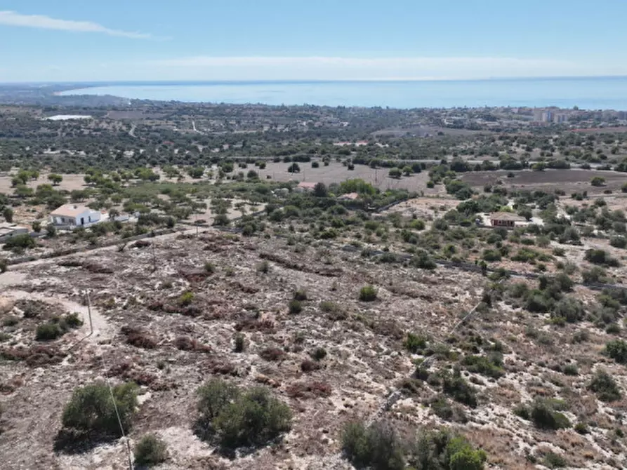 Immagine 8 di Terreno in vendita  in C.da Boschi Pisani a Pozzallo