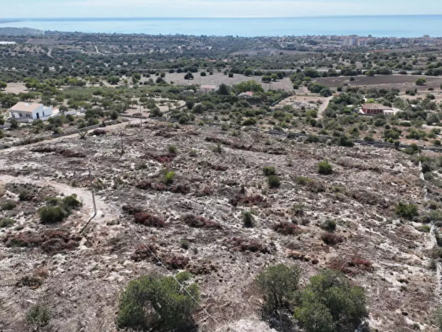 Immagine 10 di Terreno in vendita  in C.da Boschi Pisani a Pozzallo