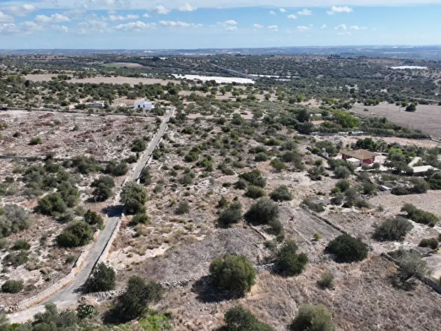 Immagine 11 di Terreno in vendita  in C.da Boschi Pisani a Pozzallo