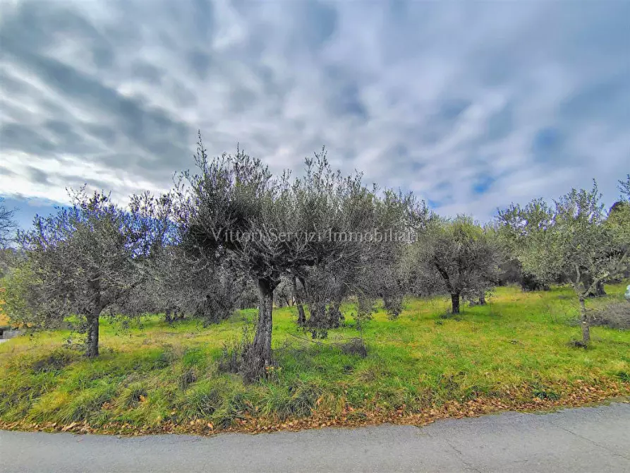 Immagine 7 di Terreno in vendita  in via lago d'iseo a Torrita Di Siena