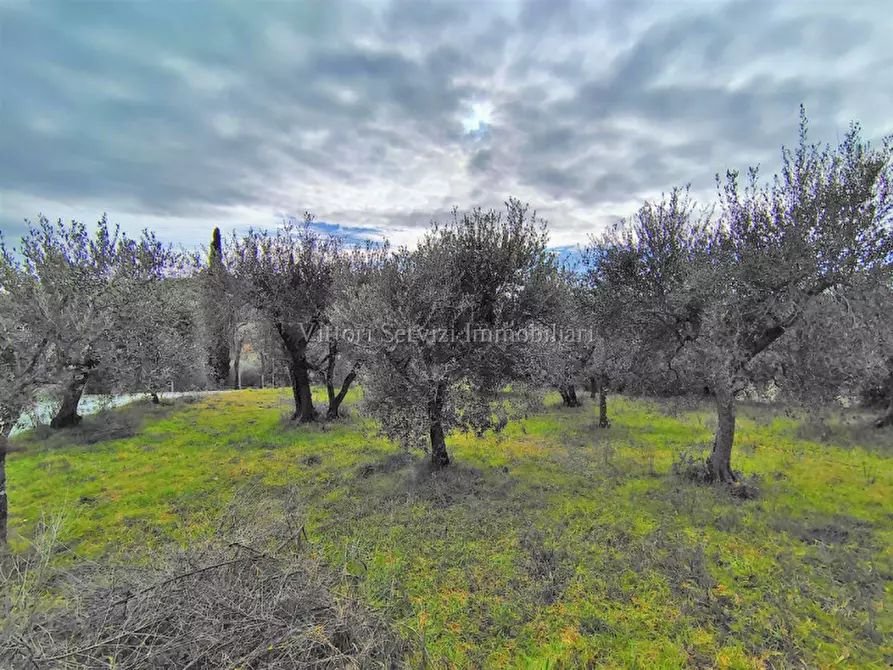 Immagine 8 di Terreno in vendita  in via lago d'iseo a Torrita Di Siena