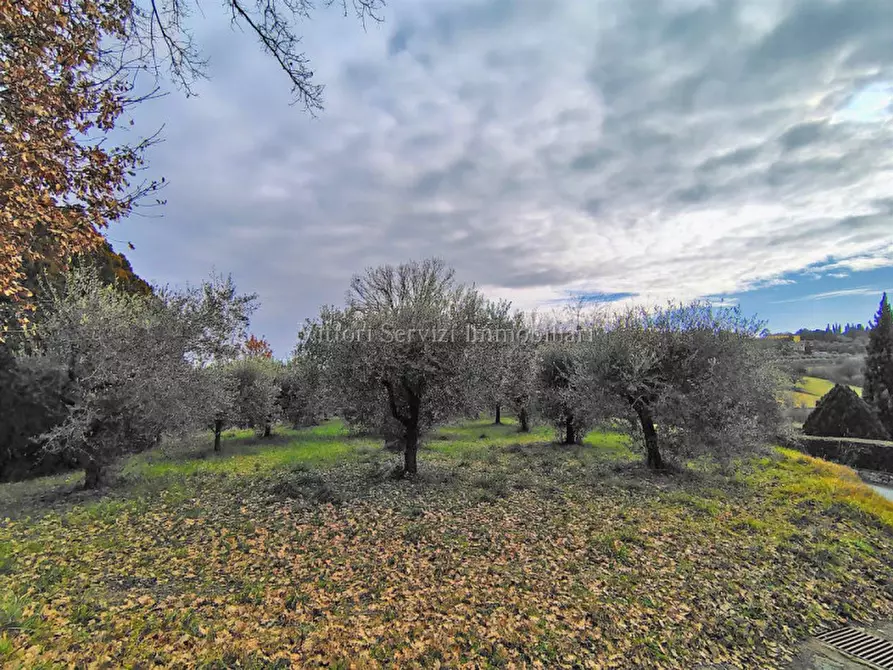 Immagine 9 di Terreno in vendita  in via lago d'iseo a Torrita Di Siena