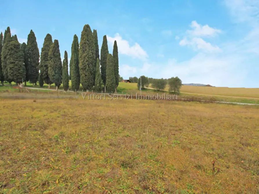 Immagine 14 di Terreno in vendita  in via lago d'iseo a Torrita Di Siena
