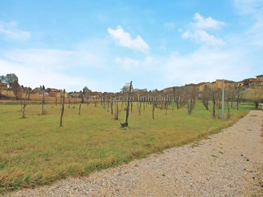 Immagine 15 di Terreno in vendita  in via lago d'iseo a Torrita Di Siena