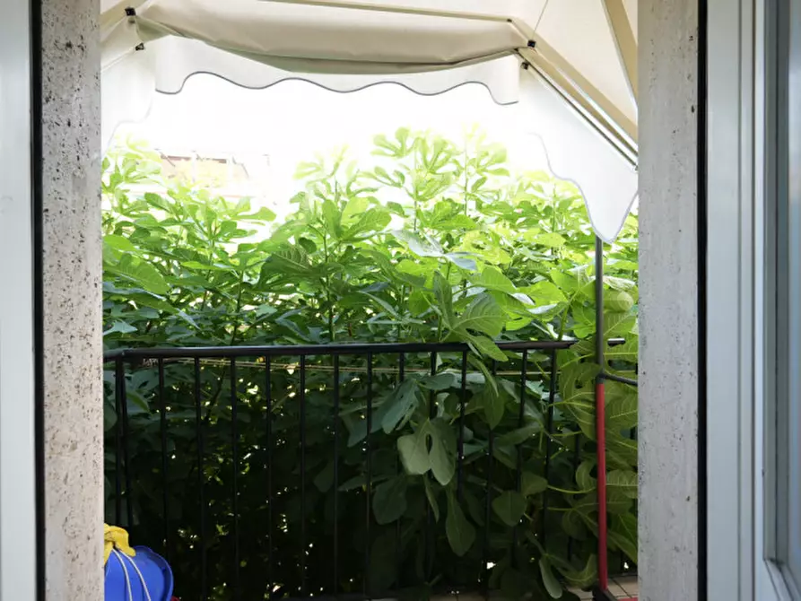 Immagine 29 di Appartamento in vendita  in Strada Nino bixio a Parma