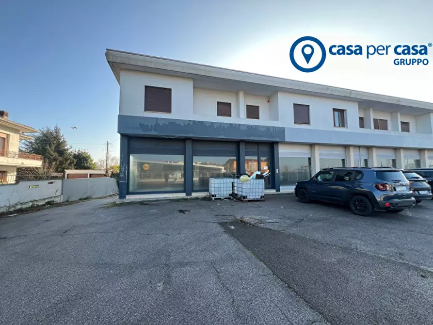 Immagine 24 di Ufficio in affitto  in Viale Porta Po a Rovigo