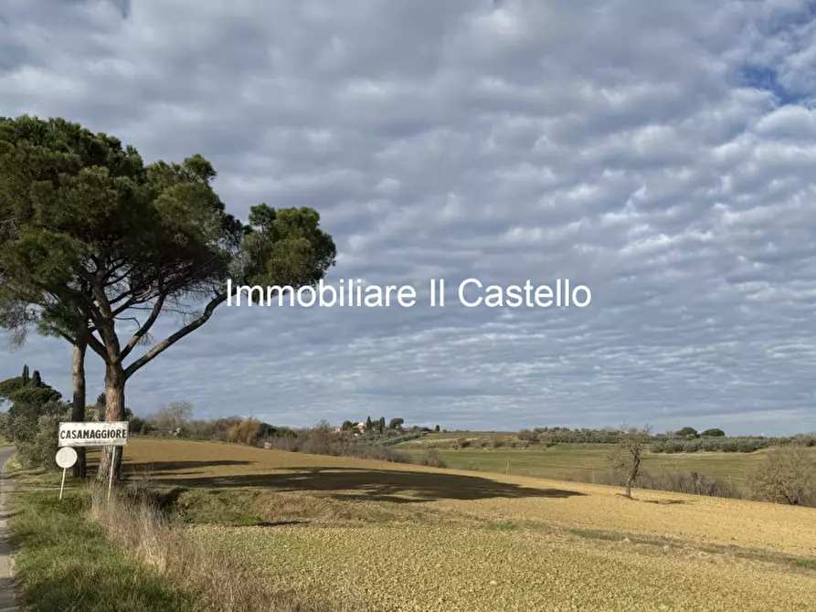 Immagine 1 di Terreno in vendita  in casamaggiore a Castiglione Del Lago