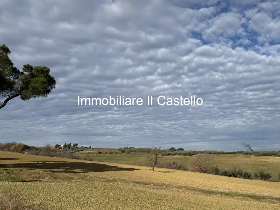 Immagine 2 di Terreno in vendita  in casamaggiore a Castiglione Del Lago