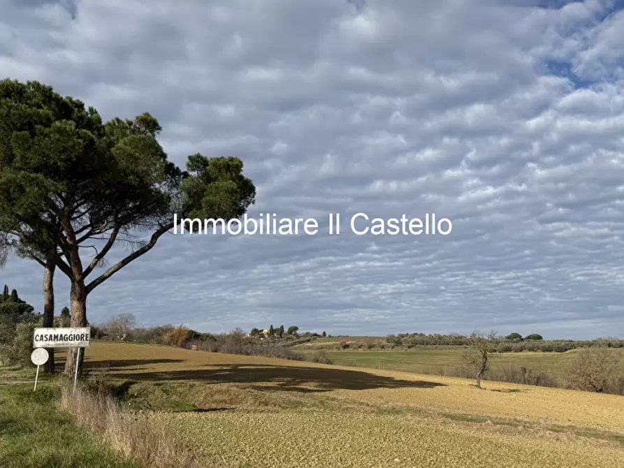 Immagine 3 di Terreno in vendita  in casamaggiore a Castiglione Del Lago