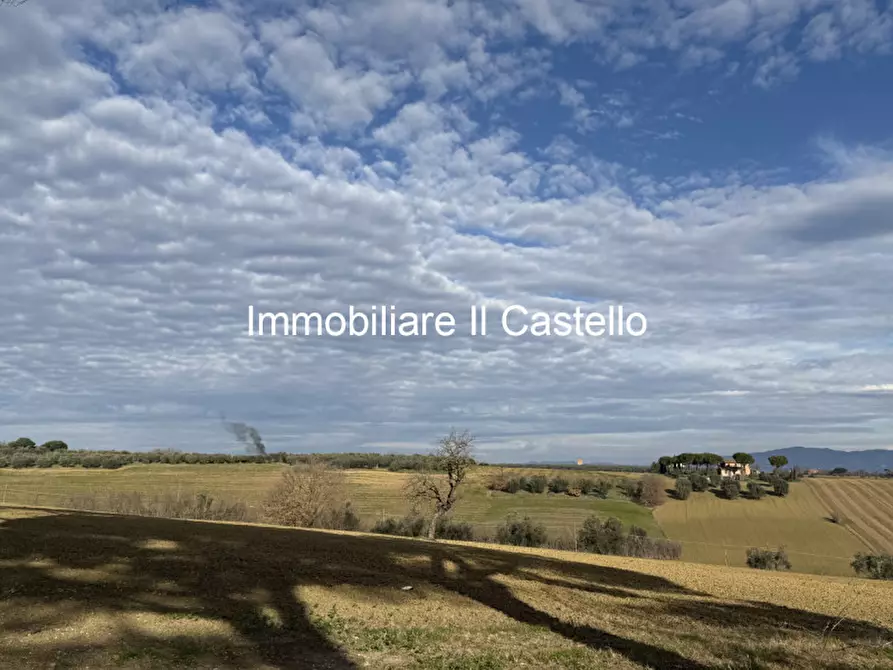 Immagine 4 di Terreno in vendita  in casamaggiore a Castiglione Del Lago