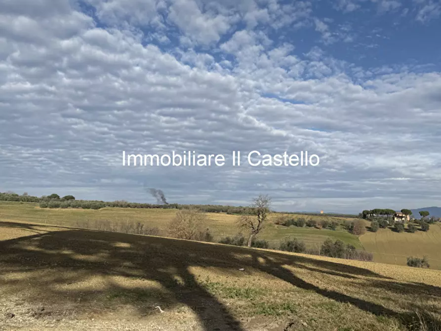 Immagine 5 di Terreno in vendita  in casamaggiore a Castiglione Del Lago